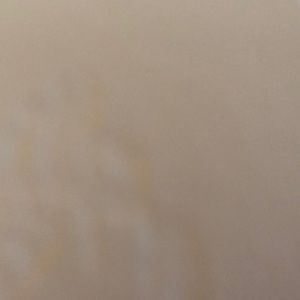 Meet your Posher, Shara